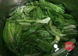 老干妈油麦菜的做法图解5