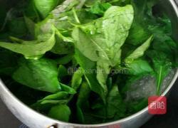 苦槐菜汆肉片的做法图解4