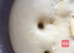 豆沙面包的做法图解10