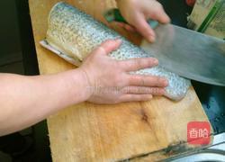 茄汁松酥鱼的做法图解1