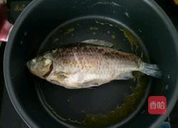 宝宝辅食鲫鱼豆腐汤的做法图解3