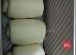 酸奶吐司（一次性发酵）的做法图解9