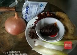 麻辣醉龙虾的做法图解1
