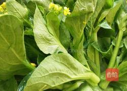 炒菜心的做法图解5
