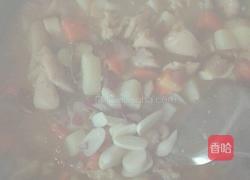 纯正（泰式）咖喱鸡米饭的做法图解18