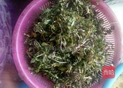 荠菜素包的做法图解3