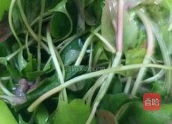 凉拌则耳根（鱼腥草）的做法图解1