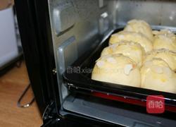 蜂蜜小餐包的做法图解9