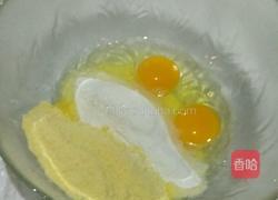 披萨（电饼铛版）的做法图解2