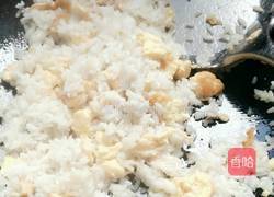 青蒜蚝油炒饭的做法图解7