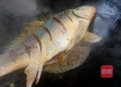红烧鲤鱼的做法图解5