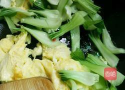 上海青炒鸡蛋的做法图解6