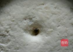 玉兔豆沙包的做法图解1