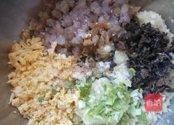 白菜虾仁饺子的做法图解8