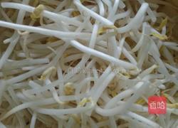 素炒掐菜的做法图解1