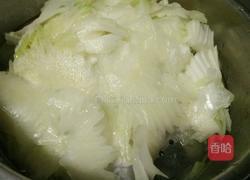 醋溜白菜的做法图解5