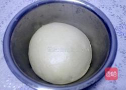 奶香椰茸花式面包（超详细版）的做法图解5