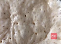 poolish（波兰种）汉堡胚的做法图解1