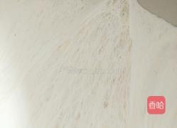 柔软拉丝小排包（汤种法）的做法图解11