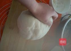 白面馒头的做法图解9