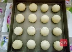 鲜奶油小面包(一次性发酵）的做法图解6