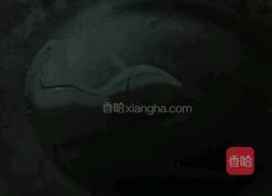 红烧肉炝西蓝花的做法图解10