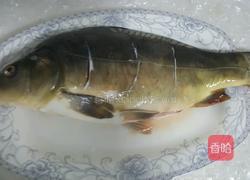 红烧鲤鱼的做法图解1