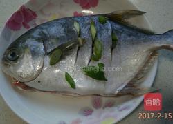 清蒸金鲳鱼的做法图解4