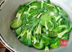 清拌小油菜的做法图解1