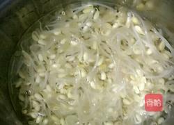 豆芽面筋的做法图解2