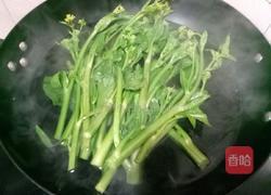 四川冲菜的做法图解5