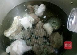 羊肉萝卜汤的做法图解5