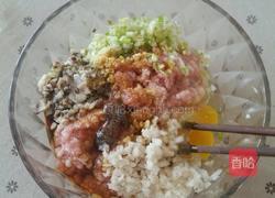 红烧狮子头的做法图解3