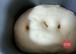 豹纹吐司的做法图解8