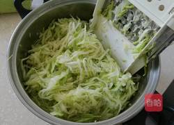 猪肉西葫芦水饺的做法图解5