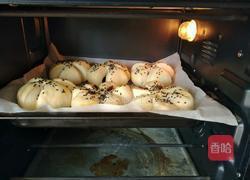 豆沙面包的做法图解15