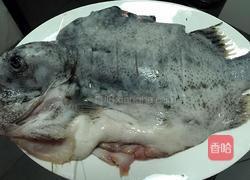 清蒸海参斑的做法图解4