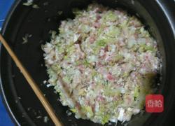 白菜猪肉饺子的做法图解4