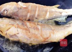 香煎黄花鱼的做法图解4