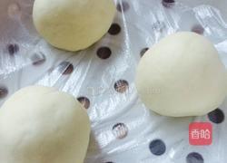 红豆包子的做法图解7