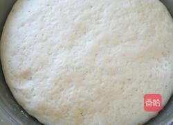 猪肉胡罗卜大头菜包子的做法图解1