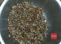 发豇豆芽的做法图解5