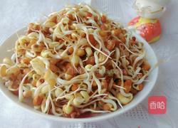 发豇豆芽的做法图解7