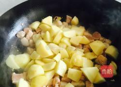 土豆烧鸡丁的做法图解9