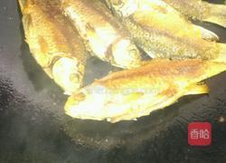 香煎小鲫鱼的做法图解4
