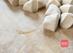 荠菜胡萝卜肉水饺的做法图解9
