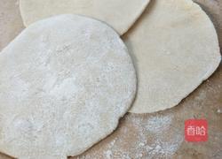 荠菜胡萝卜肉水饺的做法图解10