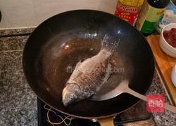 鲫鱼白菜豆腐汤的做法图解1