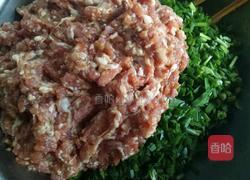 韭菜肉馅饺子的做法图解6