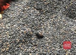 阿胶糕的做法图解11